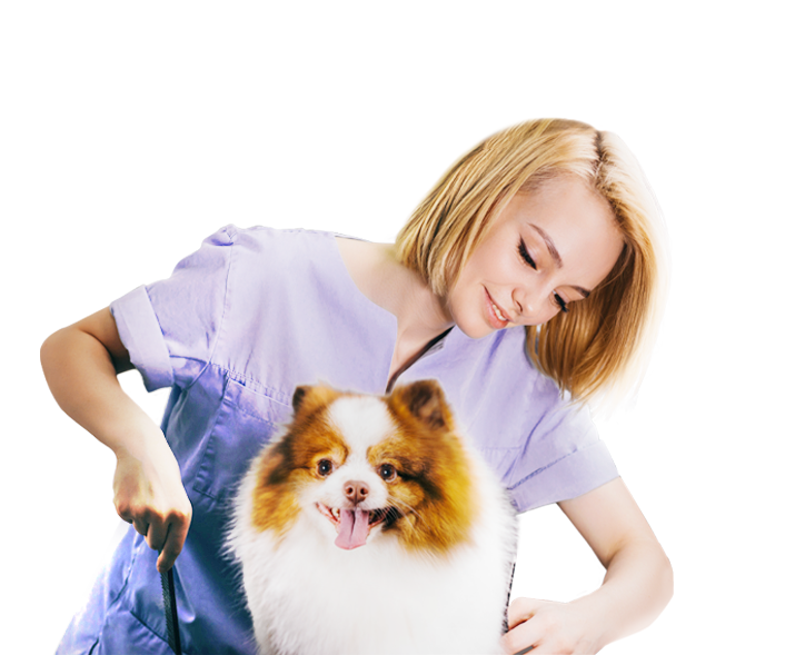 About us | Hydra About us | Hydra