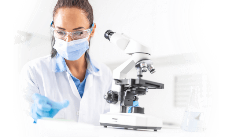 Research and Innovation A Pet Society | Hydra